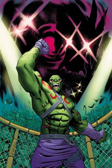 Drax the Destroyer character portrait