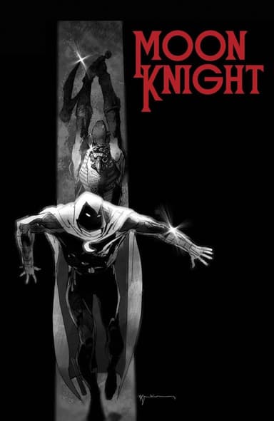 Moon Knight character portrait