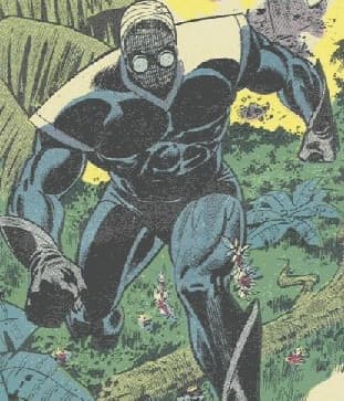 Night Phantom character portrait