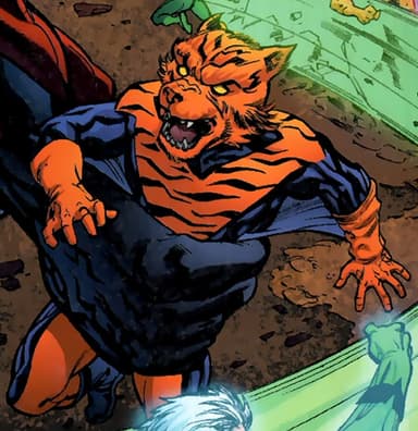 Flying Tiger character portrait