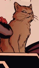 Chewie character portrait