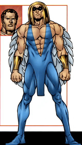 Skyhawk character portrait