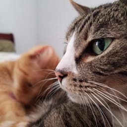 Photo of Wade von Grawbadger