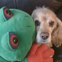 Photo of Juan Vlasco