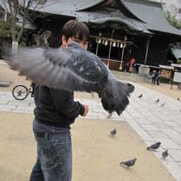 Photo of Peter Nguyen