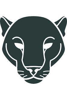 Agents of Wakanda character portrait