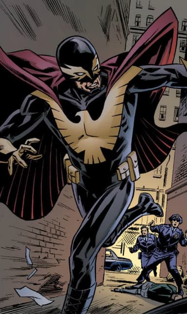 Nighthawk character portrait